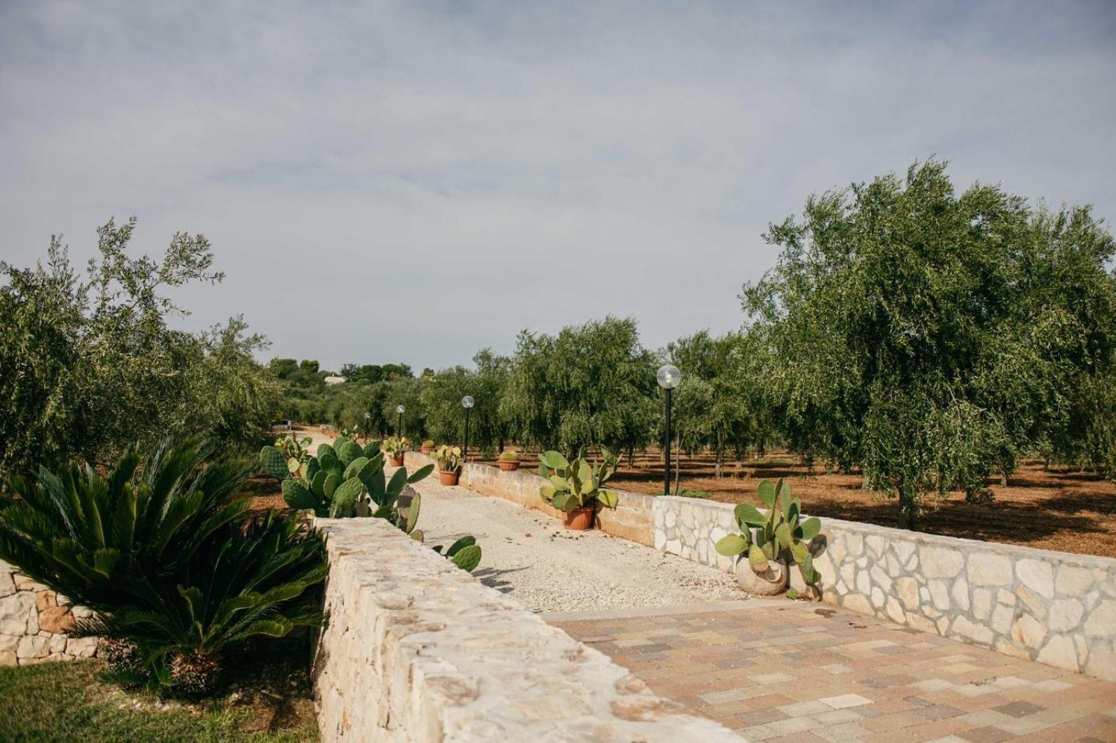 מונופולי I Trulli Di Gina Appartamento Trullo 6 Persone מראה חיצוני תמונה
