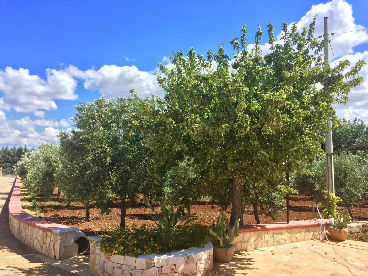 מונופולי I Trulli Di Gina Appartamento Trullo 6 Persone מראה חיצוני תמונה